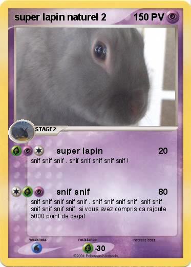 Pokemon super lapin naturel 2