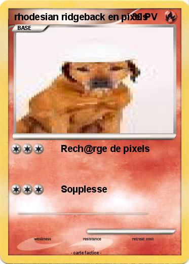 Pokemon rhodesian ridgeback en pixels