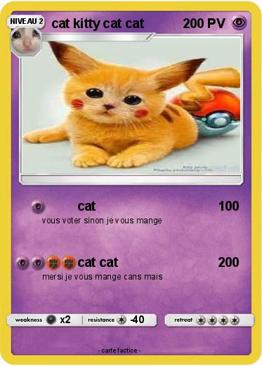 Pokemon cat kitty cat cat