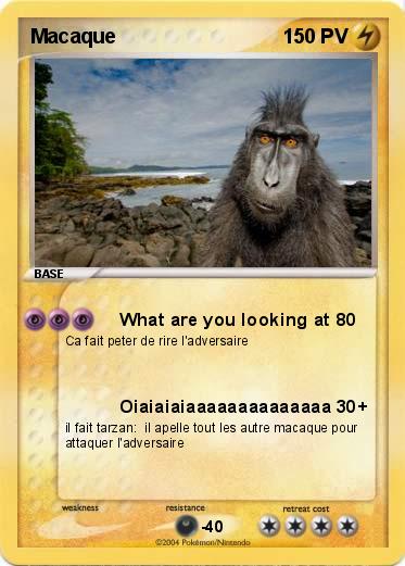 Pokemon Macaque