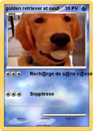 Pokemon golden retriever et oeuf