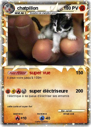 Pokemon chatpillon