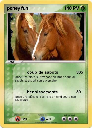 Pokemon poney fun