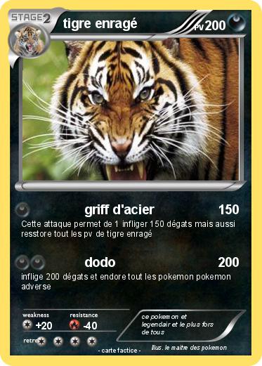 Pokemon tigre enragé