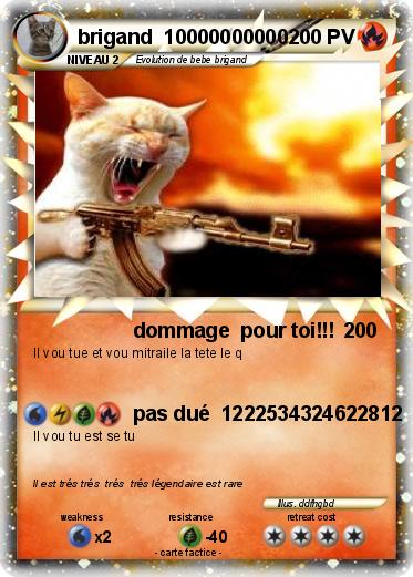 Pokemon brigand  10000000000