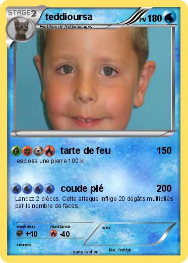 Pokemon teddioursa