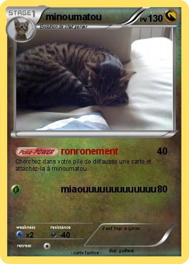 Pokemon minoumatou