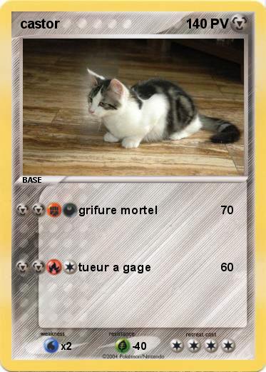 Pokemon castor