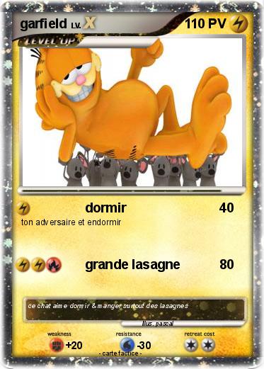 Pokemon garfield