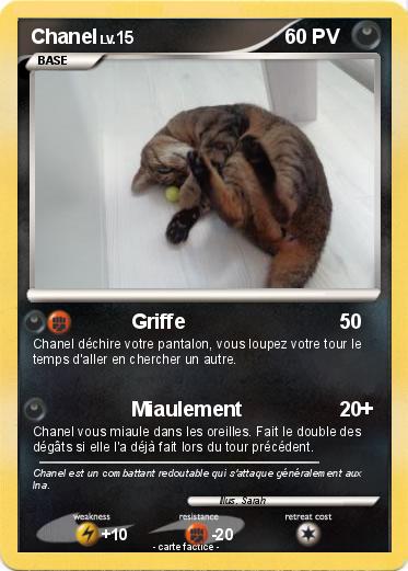 Pokemon Chanel