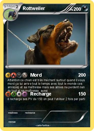 Pokemon Rottweiler