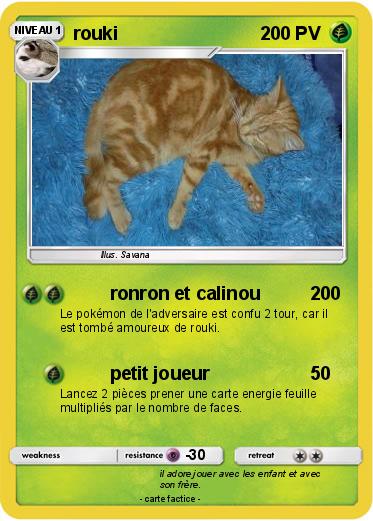 Pokemon rouki