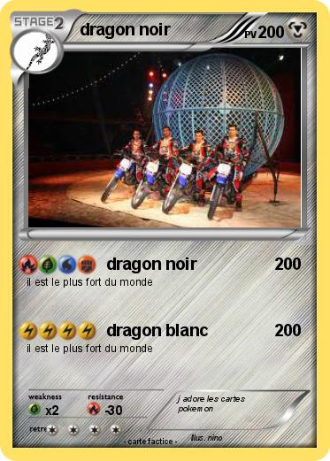 Pokemon dragon noir