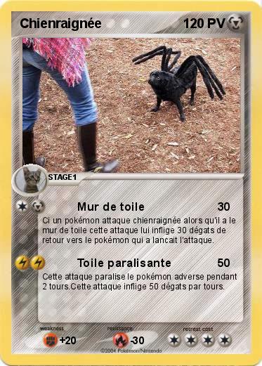 Pokemon Chienraignée