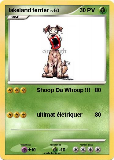 Pokemon lakeland terrier