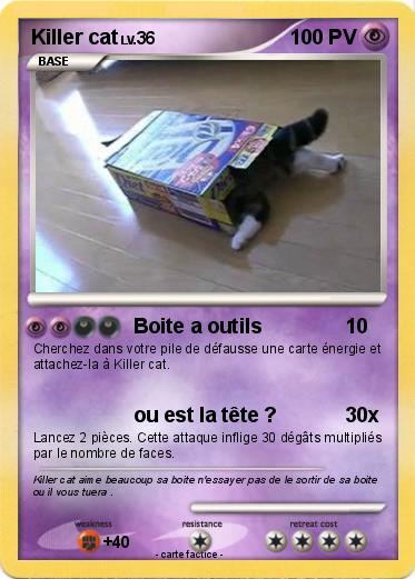 Pokemon Killer cat