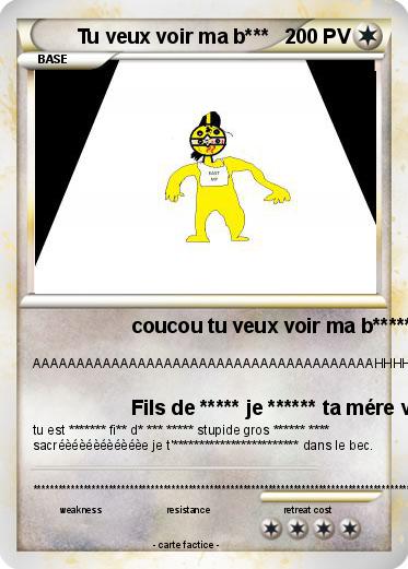 Pokemon Tu veux voir ma b***