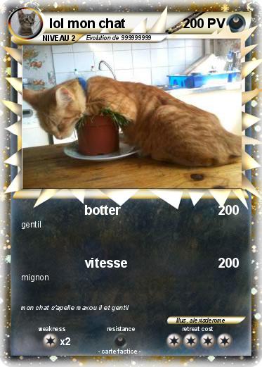 Pokemon lol mon chat