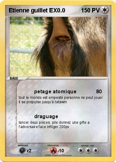 Pokemon Etienne guillet EX0.0