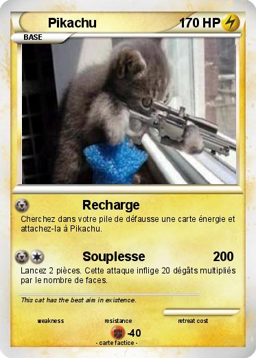 Pokemon Sniper Cat
