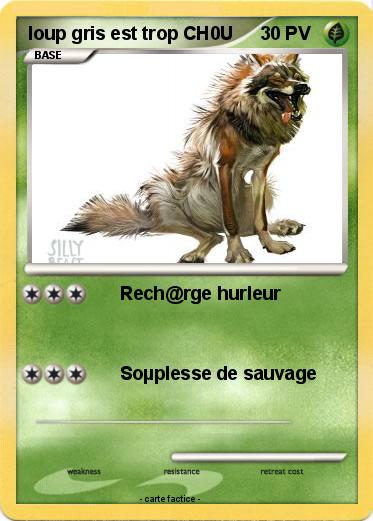 Pokemon loup gris est trop CH0U