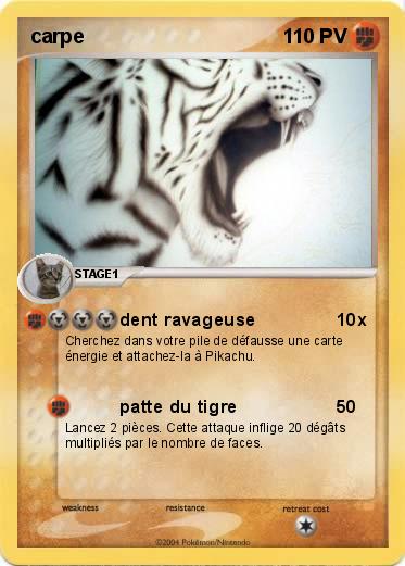 Pokemon carpe