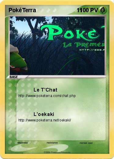 Pokemon PokéTerra                          11