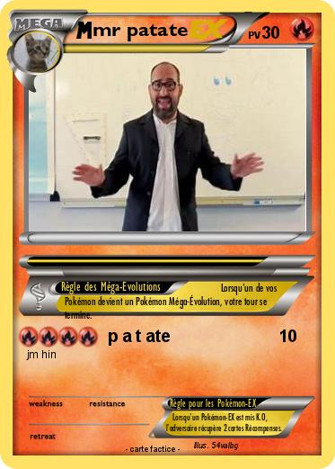 Pokemon mr patate