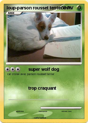 Pokemon loup-parson rousset terrier mix