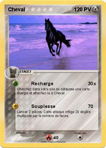 Pokemon Cheval