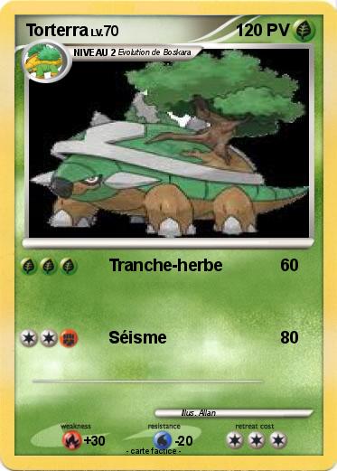 Pokemon Torterra