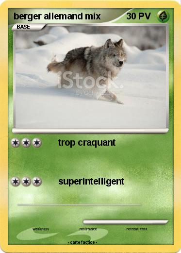 Pokemon berger allemand mix