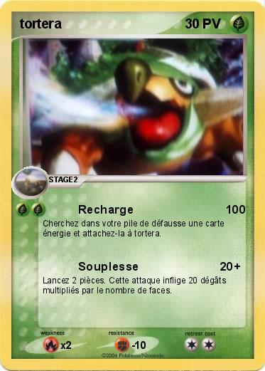 Pokemon tortera