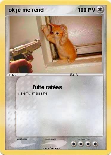 Pokemon ok je me rend