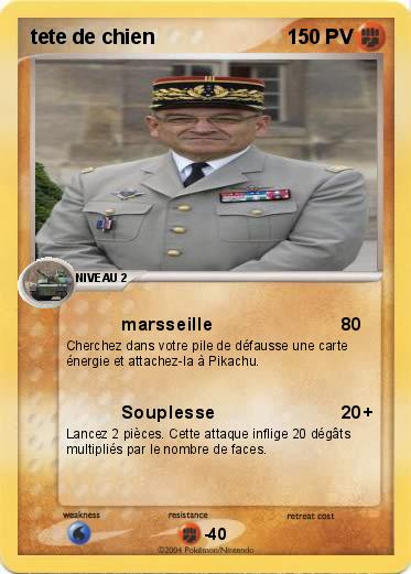 Pokemon tete de chien