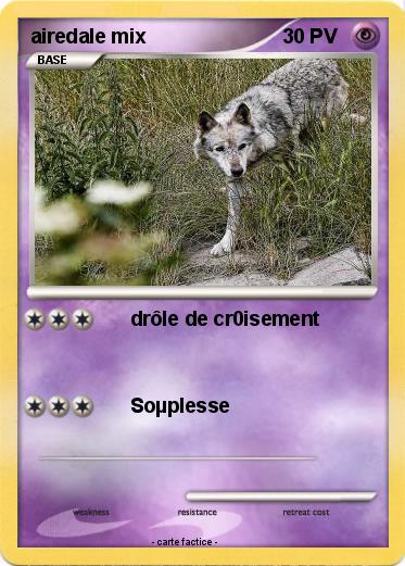 Pokemon airedale mix