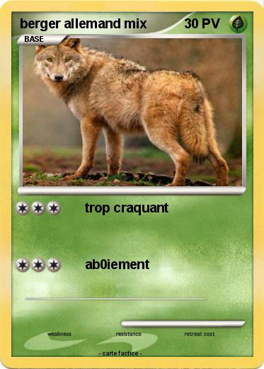 Pokemon berger allemand mix