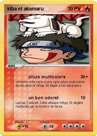 Pokemon kiba et akamaru