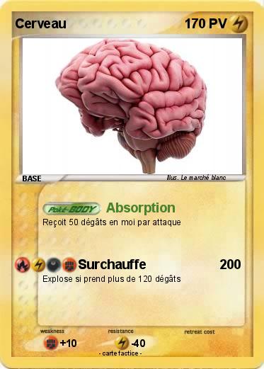 Pokemon Cerveau