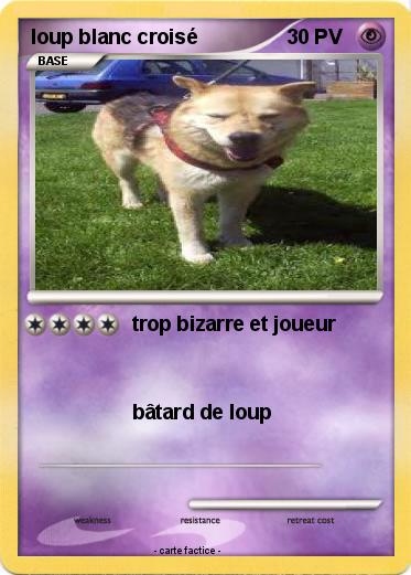 Pokemon loup blanc croisé