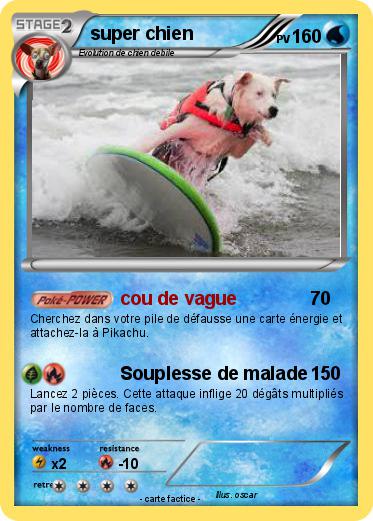Pokemon super chien