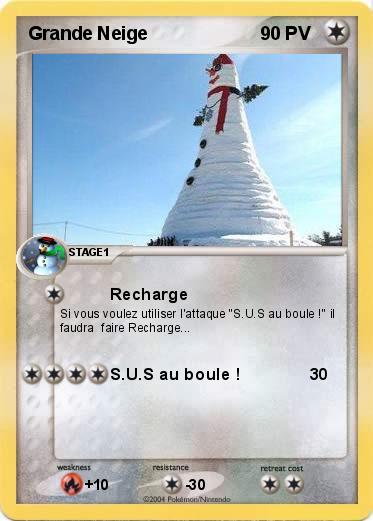 Pokemon Grande Neige
