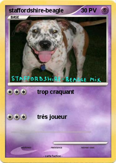 Pokemon staffordshire-beagle