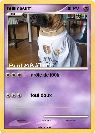 Pokemon bullmastiff