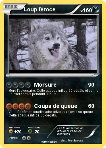 Pokemon Loup féroce