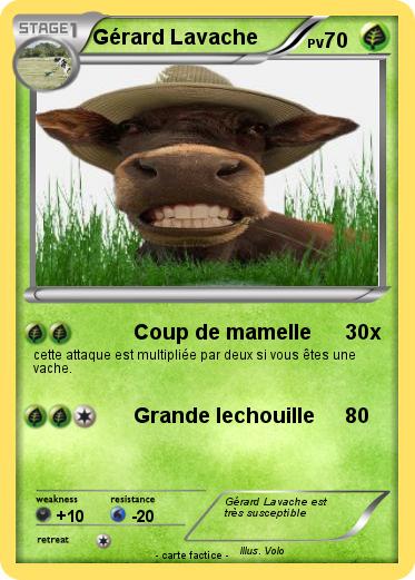 Pokemon Gérard Lavache