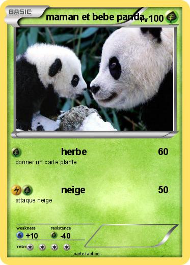 Pokemon maman et bebe panda
