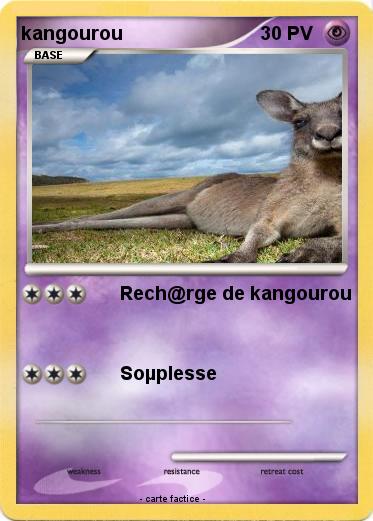 Pokemon kangourou