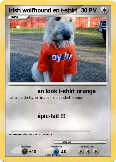 Pokemon irish wolfhound en t-shirt