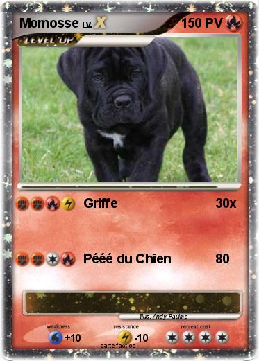 Pokemon Momosse